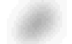 SCOR 2030 NX S NOT YELLOW | 30005914 | velomarkt.ch