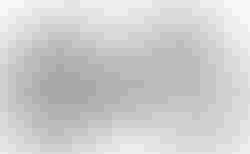Cube Nulane C:62 SLX FE | Cube Nulane C:62 SLX FE | velomarkt.ch