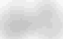 Cube Nuroad C:62 ONE | Cube Nuroad C:62 ONE | velomarkt.ch