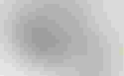 Cube Nulane C:62 SLT | Cube Nulane C:62 SLT | velomarkt.ch