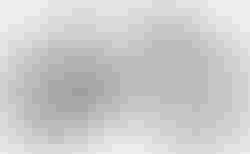 Orbea ONNA 29 20 M Tanzanite (Matt) - Silver ( M Tanzanite (Matt) - Silver (Gloss) | WC1602C | velomarkt.ch