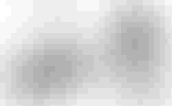 Brompton C Line Team GB-Edition | Brompton C Line Team GB-Edition | velomarkt.ch