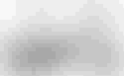 Tern BYB S11 | Tern BYB S11 | velomarkt.ch