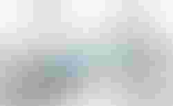 Tern Link C8 | Tern Link C8 | velomarkt.ch