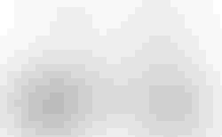 Riese & Müller Birdy rohloff | Riese & Müller Birdy rohloff | velomarkt.ch