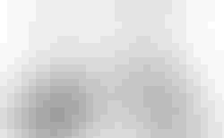 Brompton P Line | Brompton P Line | velomarkt.ch