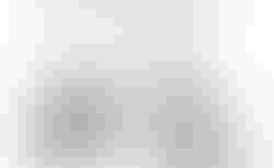 Brompton C Line | Brompton C Line | velomarkt.ch