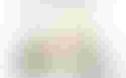 Brompton C Line | Brompton C Line | velomarkt.ch