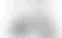 Brompton C Line | Brompton C Line | velomarkt.ch