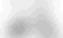 Brompton C Line | Brompton C Line | velomarkt.ch