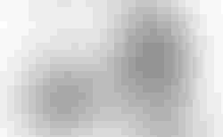 Brompton C Line Electric | Brompton C Line Electric | velomarkt.ch