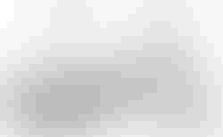 Tern BYB P8 | Tern BYB P8 | velomarkt.ch