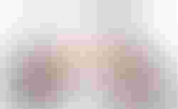 Brompton G Line | Brompton G Line | velomarkt.ch