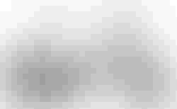 Bergamont Paul-E EQ Edition | Bergamont Paul-E EQ Edition | velomarkt.ch