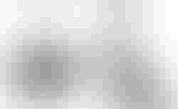 Brompton C Line | Brompton C Line | velomarkt.ch