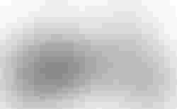 Tern Vektron S10 | Tern Vektron S10 | velomarkt.ch