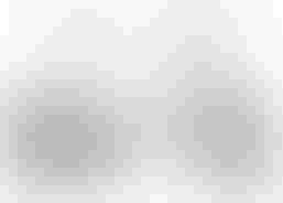 Bergamont Paul-E EQ Expert | Diverse Velos | Faltvelos / Klappvelos | velomarkt.ch