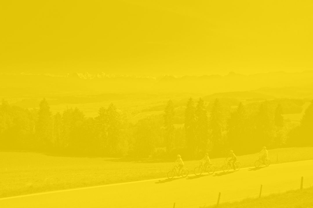 Stebi's Check Point GmbH