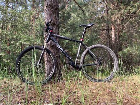 Bulls Velo bei velomarkt.ch kaufen