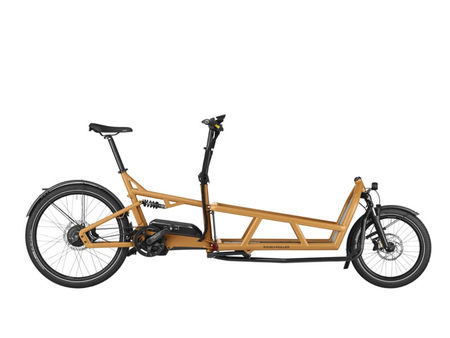 Riese und Müller Load4 75 vario