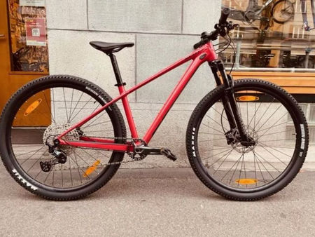 Damen Mountainbike