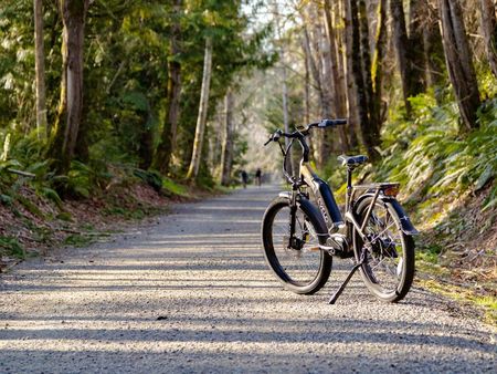 Traumbike auf velomarkt.ch finden