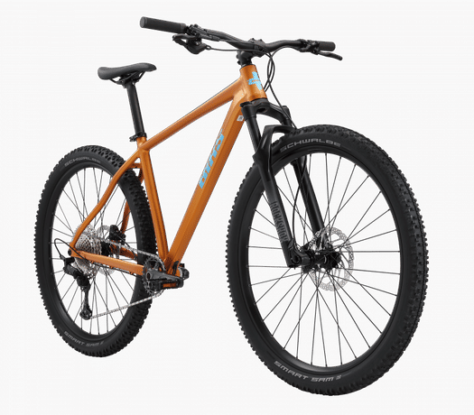Bixs Core 300 brown L brown/black kaufen in Aargau #1 | velomarkt.ch