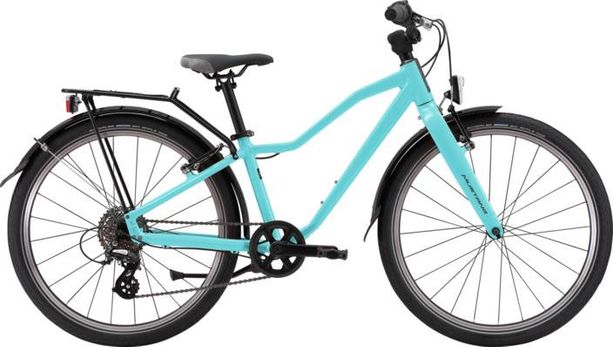 Mustang Appaloosa 24 2.0 24 türkis kaufen in Aargau #1 | velomarkt.ch