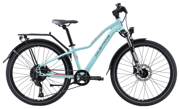 Mustang Appaloosa SL 24 24 mint matt kaufen in Argovia #1 | velomarkt.ch