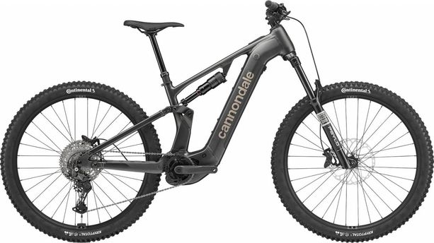 Cannondale Moterra 3 M OBS kaufen in Aargau #1 | velomarkt.ch