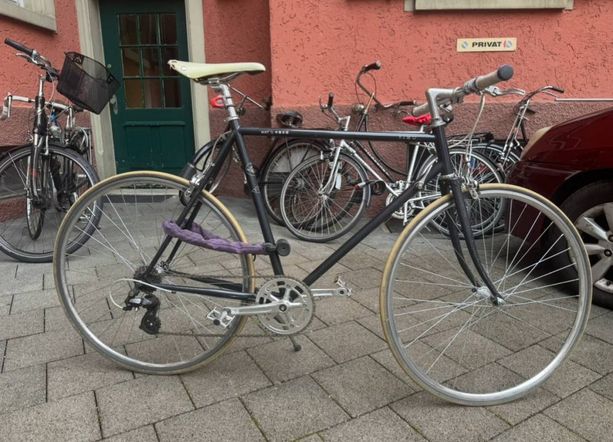 May Yiwu Citybike kaufen in Berne #1 | velomarkt.ch