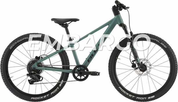 BULLS TOKEE DISC 24 24&quot; light emerald kaufen in Aargau #1 | velomarkt.ch