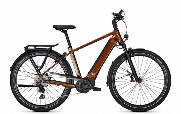 Kalkhoff ENDEAVOUR 5.B ADVANCE+ Di L goldbrown glossy kaufen in Argovia #1 | velomarkt.ch