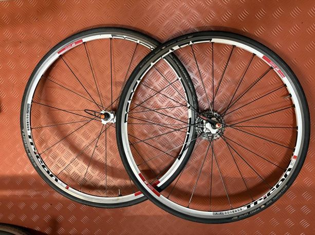 DT Swiss Tricon kaufen in Berna #1 | velomarkt.ch