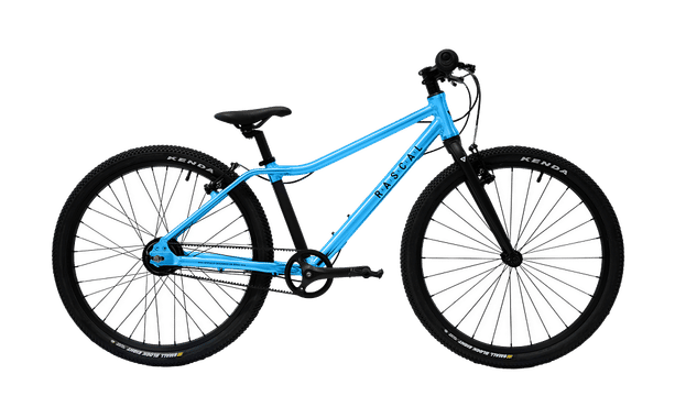 Rascal 24 Aquamarine kaufen in Zurigo #1 | velomarkt.ch