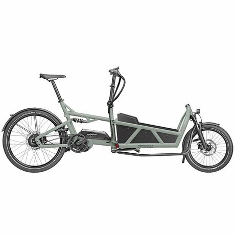 Riese &amp; Müller Load 60 rohloff HS kaufen in Zürich #1 | velomarkt.ch