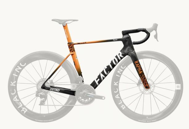 Factor Ostro Gravel Team Amani Edition 2025 kaufen in Luzern #1 | velomarkt.ch