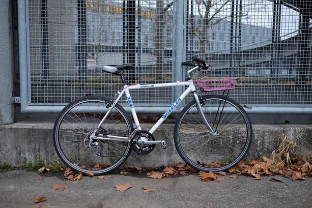 Stadtvelo mit Korb kaufen in Berne #1 | velomarkt.ch