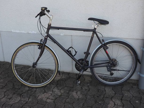 Aarios Stadtflitzer kaufen in St. Gallen #1 | velomarkt.ch