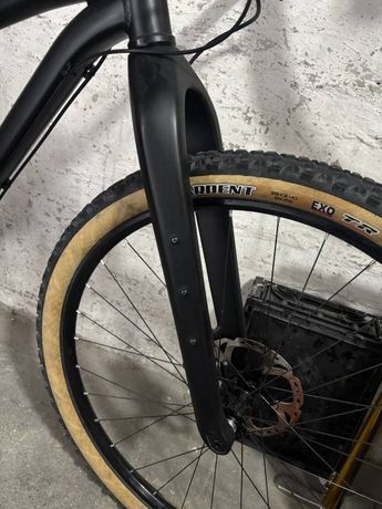 Starrgabel Carbon 29 Zoll kaufen in Thurgovie #1 | velomarkt.ch