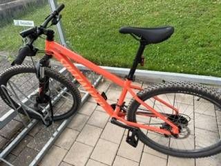 Specialized Mountainbike zum Verkauf kaufen in Zurich #1 | velomarkt.ch