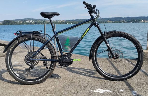 High-End Custom E-Bike SUV kaufen in Bern #1 | velomarkt.ch