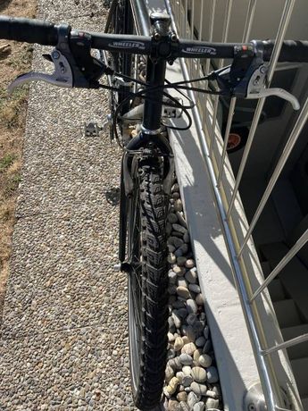 Vintage MTB kaufen in Soleure #1 | velomarkt.ch