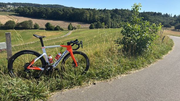 Pinarello Dogma F Ineos Edition kaufen in Argovia #1 | velomarkt.ch