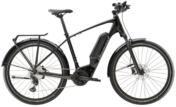 Diamant Zing+ Hoch 545Wh Gen 2 L Tiefschwarz kaufen in Zürich #1 | velomarkt.ch