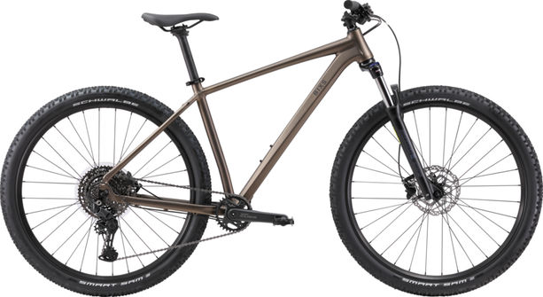 BIXS CORE 500 brown metallic kaufen in Thurgau #1 | velomarkt.ch