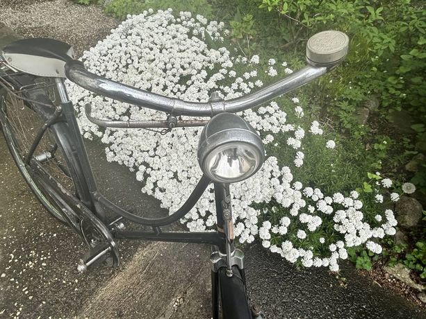Damenfahrrad kaufen in Basilea-Città #1 | velomarkt.ch