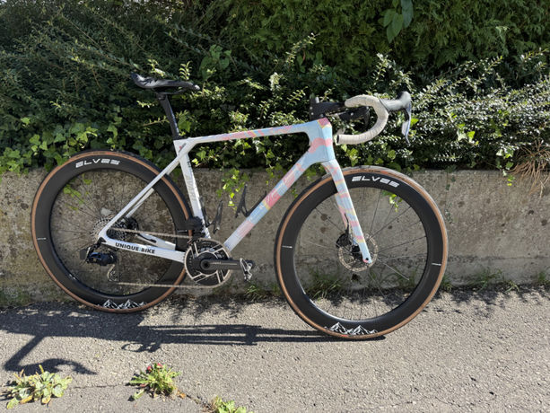 Elves Avari Pro Disc kaufen in Schwyz #1 | velomarkt.ch