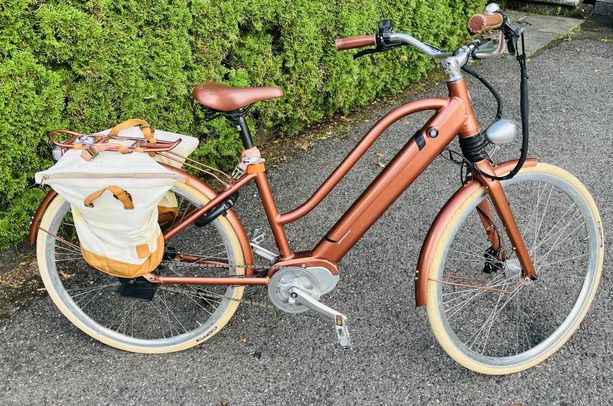 Premium E-Bike von EGO MOVEMENT inkl. Taschen &amp; Ladegerät kaufen in Ticino #1 | velomarkt.ch