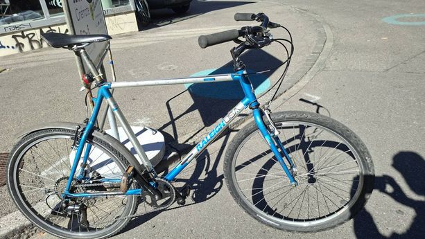 Alu / Stahl Raleigh 26" kaufen in Berne #1 | velomarkt.ch